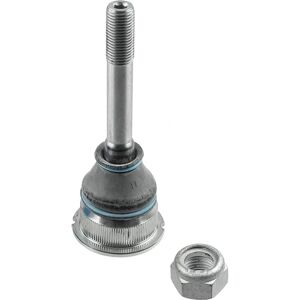 LEMFÖRDER Articolazione sospensione BMW E36 - Parte di sospensione LEMFÖRDER Articolazione sospensione BMW E36 - Parte di sospensione