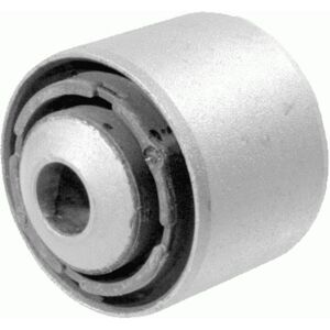LEMFÖRDER 29821 01 Brazo de control - Tipo de control LEMFÖRDER 29821 01 Brazo de control - Tipo de control