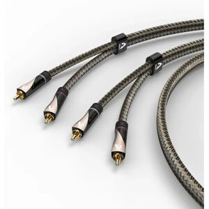 Câble audio Avinity 107624 - 2 connecteurs RCA mâles, 1m Câble audio Avinity 107624 - 2 connecteurs RCA mâles, 1m