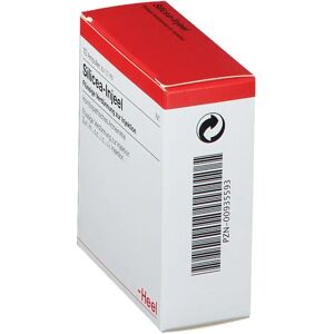 Biologische Heel Silicea Injeel Ampullen - Homöopathisches Arzneimittel Biologische Heel Silicea Injeel Ampullen - Homöopathisches Arzneimittel