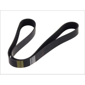 DT Spare Parts Cinghia a V 2.21055 - Cinghia a V trapezoidale DT Spare Parts Cinghia a V 2.21055 - Cinghia a V trapezoidale