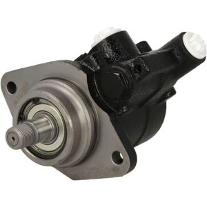 Pompa idraulica DT Spare Parts - 2.53205 - Trasmissione idraulica Pompa idraulica DT Spare Parts - 2.53205 - Trasmissione idraulica