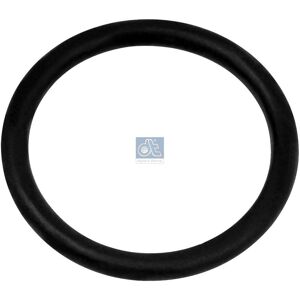 Anillo de sellado DT Spare Parts - 3.89512 Anillo de sellado DT Spare Parts - 3.89512