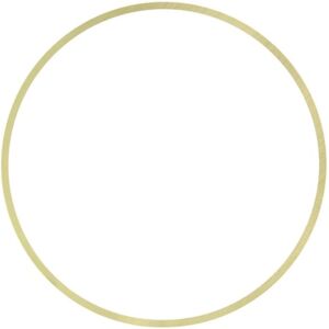 DT Spare Parts Sylindertiiviste - 1.10610 DT Spare Parts Sylindertiiviste - 1.10610