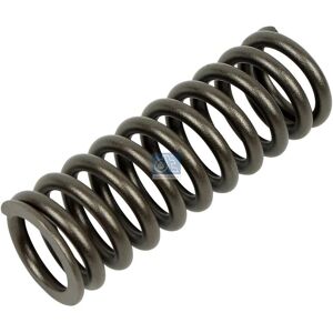 Muella de válvula DT Spare Parts - 1.10781 Muella de válvula DT Spare Parts - 1.10781