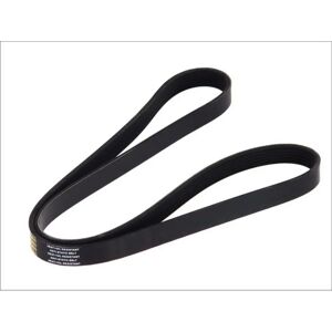 DT Spare Parts Cinghia trapezoidale - 6PK1398 DT Spare Parts Cinghia trapezoidale - 6PK1398
