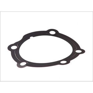 DT Spare Parts Guarnizione della scatola del cambio - Manuale - Guarnizione di trasmissione DT Spare Parts Guarnizione della scatola del cambio - Manuale - Guarnizione di trasmissione