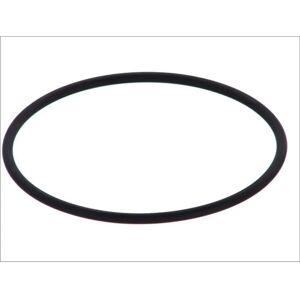 DT Spare Parts Tiivisterengas - 6.21491 DT Spare Parts Tiivisterengas - 6.21491