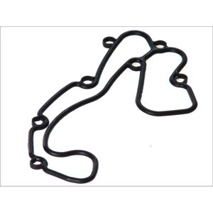 Junta de Radiador de Aceite DT SPARE PARTS - 4.20507 Junta de Radiador de Aceite DT SPARE PARTS - 4.20507