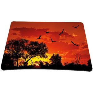 Tapis de souris PEDEA 67007060 - Multicolore - Accessoire gaming et bureau Tapis de souris PEDEA 67007060 - Multicolore - Accessoire gaming et bureau