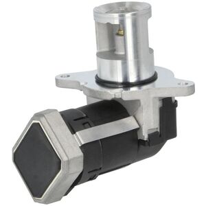 AUTLOG AV6230 - Válvula EGR - Compatible con Mercedes-Benz, Chrysler, Jeep AUTLOG AV6230 - Válvula EGR - Compatible con Mercedes-Benz, Chrysler, Jeep