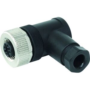 Murrelektronik 7000-12981-0000000 M12 Sensor-/Aktor-Stecker - Unverpackt Murrelektronik 7000-12981-0000000 M12 Sensor-/Aktor-Stecker - Unverpackt