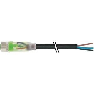 Murrelektronik 7000-08111-6300500 Connettore sensore/attuatori - 5m Murrelektronik 7000-08111-6300500 Connettore sensore/attuatori - 5m