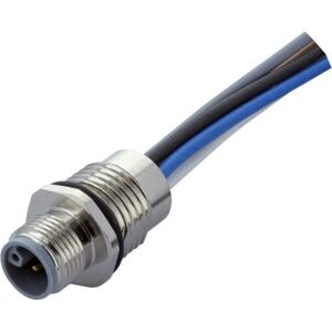 Murrelektronik 7000-P4281-9800020 Connecteur - Capteur/Actionneur, 0,20m - Publicité Murrelektronik 7000-P4281-9800020 Connecteur - Capteur/Actionneur, 0,20m - Publicité