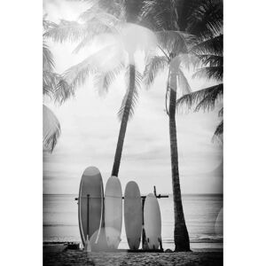 QUEENCE Surfboards Acrylglasbild - Modernes Wandbild - Indoor Dekor QUEENCE Surfboards Acrylglasbild - Modernes Wandbild - Indoor Dekor