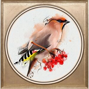 QUEENCE - Bunter Vogel II - 40x40x3 cm - Acrylic glass print QUEENCE - Bunter Vogel II - 40x40x3 cm - Acrylic glass print