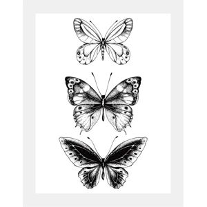 QUEENCE Schmetterlinge Wandkunst - 50x70cm - Schwarz - Serie: SCHMETTERLINGE QUEENCE Schmetterlinge Wandkunst - 50x70cm - Schwarz - Serie: SCHMETTERLINGE