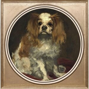 QUEENCE Spaniel - 40x40x3 cm - Bunt - Acrylglasbild QUEENCE Spaniel - 40x40x3 cm - Bunt - Acrylglasbild