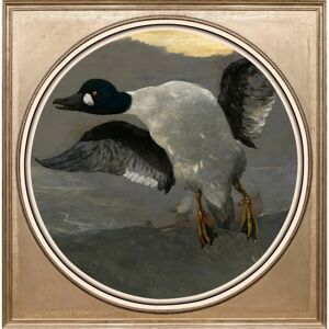 QUEENCE - Ente - Schwarz QUEENCE - Ente - Schwarz
