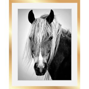 QUEENCE - Pferdekopf - 40x50 cm - Schwarz - Kunstdruck QUEENCE - Pferdekopf - 40x50 cm - Schwarz - Kunstdruck