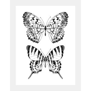 QUEENCE - Schmetterlinge - 40x50x3 cm QUEENCE - Schmetterlinge - 40x50x3 cm