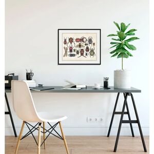 QUEENCE - Das Große Krabbeln 2 - 50x40 cm - Framed print QUEENCE - Das Große Krabbeln 2 - 50x40 cm - Framed print