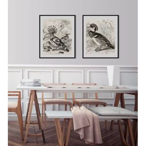 QUEENCE - Donald - Grau - 40 x 50 cm - Wandbild QUEENCE - Donald - Grau - 40 x 50 cm - Wandbild