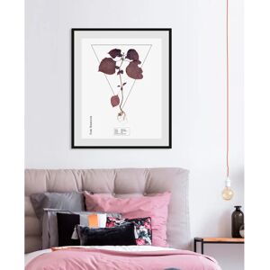 QUEENCE - Lamiaceae - 50 cm x 70 cm - lila - Wandbild QUEENCE - Lamiaceae - 50 cm x 70 cm - lila - Wandbild