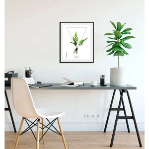QUEENCE - Pteridophyta - 30x40 cm - Hochformat - Wall Art QUEENCE - Pteridophyta - 30x40 cm - Hochformat - Wall Art