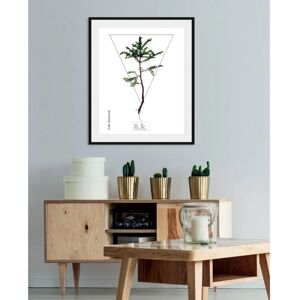 QUEENCE - Abies - 30x40 cm - Grün - Wall art print QUEENCE - Abies - 30x40 cm - Grün - Wall art print