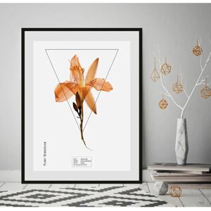 QUEENCE - Hemerocallis - orange - Gerahmtes Bild QUEENCE - Hemerocallis - orange - Gerahmtes Bild