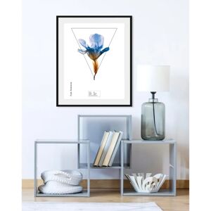 QUEENCE - Iris - blau - 30x40 cm - Wall art QUEENCE - Iris - blau - 30x40 cm - Wall art
