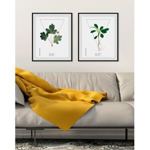 QUEENCE - Aquilegia - grün - 40x50cm - Wall Art QUEENCE - Aquilegia - grün - 40x50cm - Wall Art