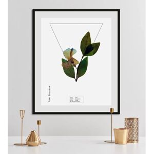 QUEENCE - Vinca - 50 x 70 cm - grün - Framed wall art QUEENCE - Vinca - 50 x 70 cm - grün - Framed wall art