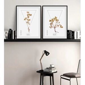 QUEENCE - Potentilla fruticosa - Braun - Wandbild QUEENCE - Potentilla fruticosa - Braun - Wandbild