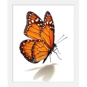 QUEENCE - Eazy - 50x70 cm - orange - Kunstdruck QUEENCE - Eazy - 50x70 cm - orange - Kunstdruck