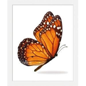 QUEENCE - Jalina - Orange - 40x50 cm - Wall art print QUEENCE - Jalina - Orange - 40x50 cm - Wall art print