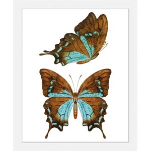 QUEENCE - Nala - Braun - 30x40 cm - Kunstdruck QUEENCE - Nala - Braun - 30x40 cm - Kunstdruck