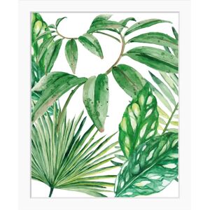 QUEENCE Dschungelblatt Wandbild - 30x40 cm Gerahmtes Naturbild QUEENCE Dschungelblatt Wandbild - 30x40 cm Gerahmtes Naturbild