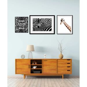 QUEENCE Tiere Set mit 3 Abstrakte Wandbilder - Wandkunst QUEENCE Tiere Set mit 3 Abstrakte Wandbilder - Wandkunst