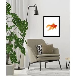 QUEENCE Goldi Fisch & Meeresfrüchte Wandbild - Indoor Dekor QUEENCE Goldi Fisch & Meeresfrüchte Wandbild - Indoor Dekor