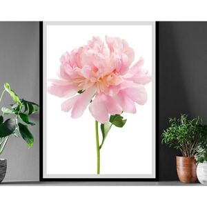 QUEENCE Beate Wandbild - Blumen, Hochformat, 50x70 cm QUEENCE Beate Wandbild - Blumen, Hochformat, 50x70 cm