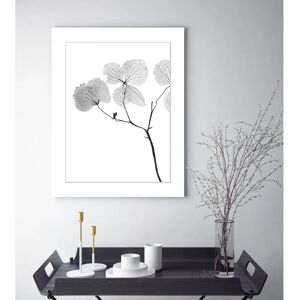 QUEENCE - Kaja - grau - 40x50 cm - Wandbild QUEENCE - Kaja - grau - 40x50 cm - Wandbild