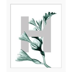 QUEENCE - H-Flower - 40x50 cm - Hochformat - Wandbild QUEENCE - H-Flower - 40x50 cm - Hochformat - Wandbild