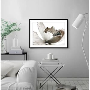 QUEENCE Herkules Wandbild - Blumen, 50x40 cm, Gerahmt QUEENCE Herkules Wandbild - Blumen, 50x40 cm, Gerahmt