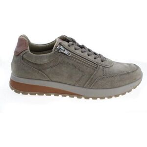 ara Matteo Sneakers Gris pour Hommes - Sportifs, Confortables, Légers ara Matteo Sneakers Gris pour Hommes - Sportifs, Confortables, Légers