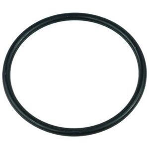 Alphacool VPP655 O-Ring - Parte di Raffreddamento Alphacool VPP655 O-Ring - Parte di Raffreddamento