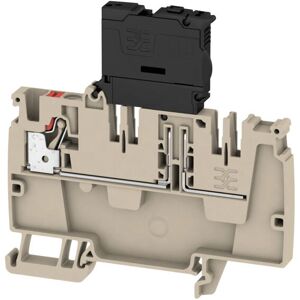 Weidmüller AAP21 4 FS 10-36V Klemme - Langlebiger Schutzkontakt Weidmüller AAP21 4 FS 10-36V Klemme - Langlebiger Schutzkontakt