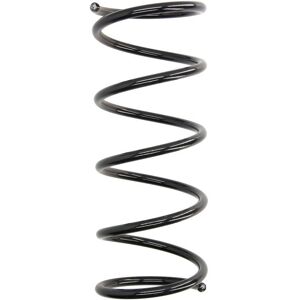 Eibach Ford Focus R10174 Molla di sospensione - 3 varianti Eibach Ford Focus R10174 Molla di sospensione - 3 varianti