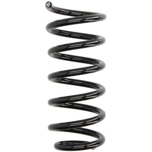 Eibach R10909 - Muelles de suspensión para Audi A6 Eibach R10909 - Muelles de suspensión para Audi A6